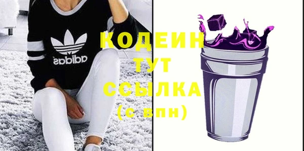 соль ск Арсеньев