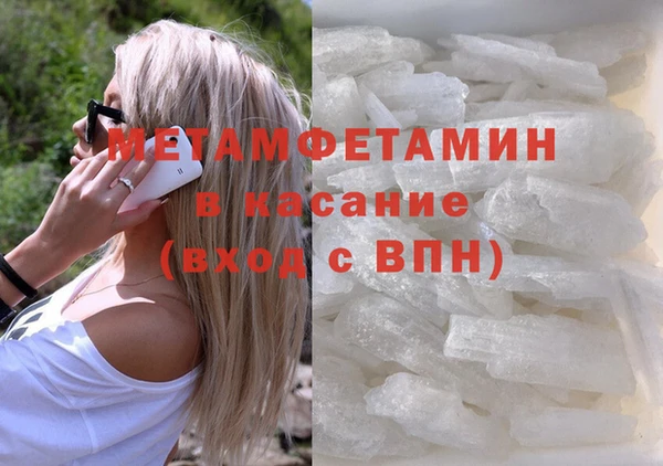 гидра Аркадак